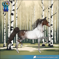 Horse Color:White Spotted Liver Chestnut 