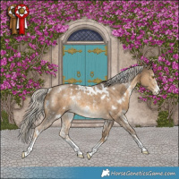 Horse Color:White Spotted Chocolate Palomino Sabino Rabicano