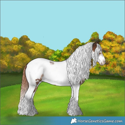 Horse Color:Liver Chestnut Tobiano Frame 