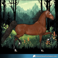 Horse Color:Gray Bay 
