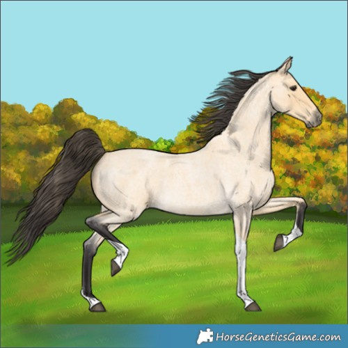 Horse Color:Buckskin Roan Tobiano 