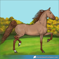 Horse Color:Red Dun