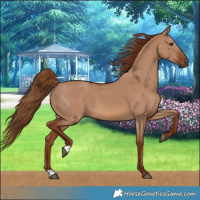 Horse Color:Red Dun 