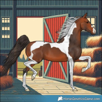Horse Color:Bay Tobiano 