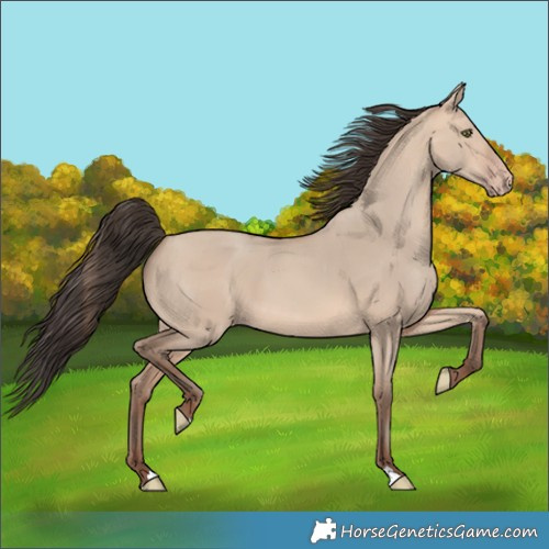 Horse Color:Amber Champagne Dun 