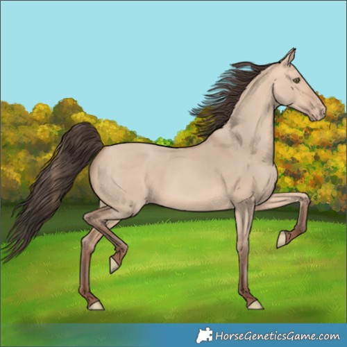 Horse Color:Amber Champagne Dun 