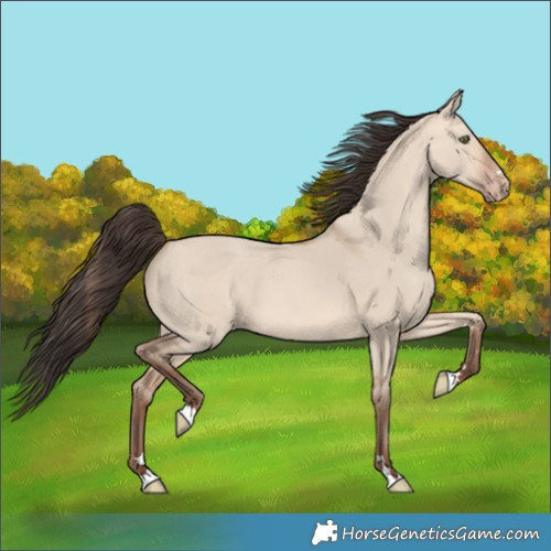 Horse Color:Amber Champagne Dun 