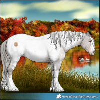 Horse Color:White Spotted Liver Chestnut Mushroom Snowcap 
