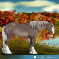 Horse Color:Silver Black 