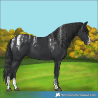 Horse Color:Powder White Black 