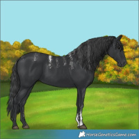 Horse Color:Powder White Black 
