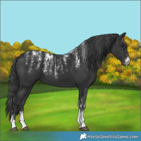 Horse Color:Powder White Black 