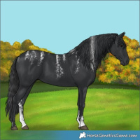 Horse Color:Powder White Black 