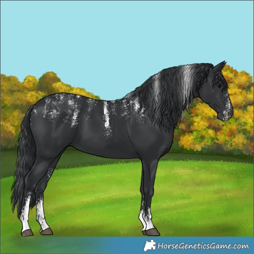 Horse Color:Powder White Black 