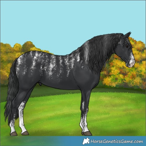 Horse Color:Powder White Black 