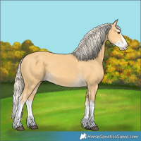 Horse Color:Palomino Splash