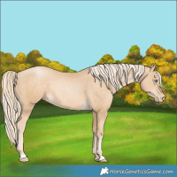 Horse Color:Palomino Pearl 