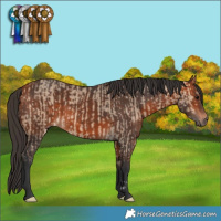 Horse Color:Bay Dun  and Bay 