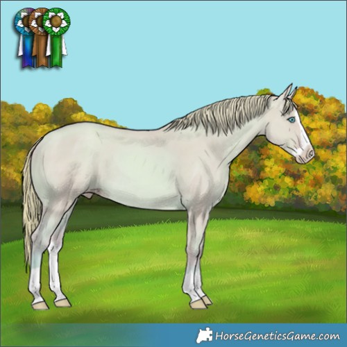 Horse Color:Watercolor Gold Champagne Dun Splash 