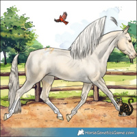 Horse Color:Palomino Varnish