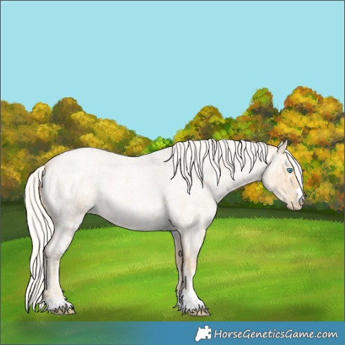 Horse Color:Silver Smoky Blue Ice Roan Pearl 