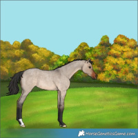 Horse Color:Brown Roan Dun 