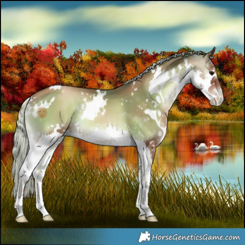 Horse Color:White Spotted Silver Blue Onyx Pearl Splash 