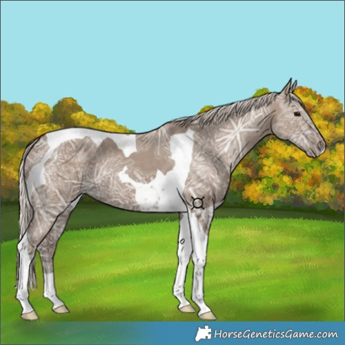 Horse Color:Silver Grullo Ice Tobiano 