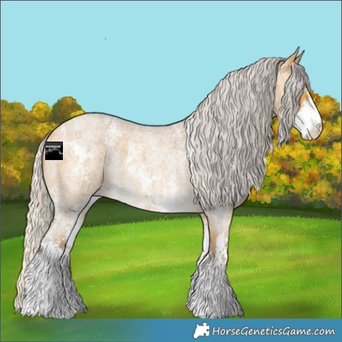 Horse Color:Silver Buckskin Roan Sabino