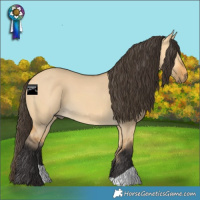 Horse Color:Buckskin Dun 