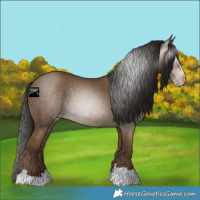 Horse Color:Gray Classic Champagne 
