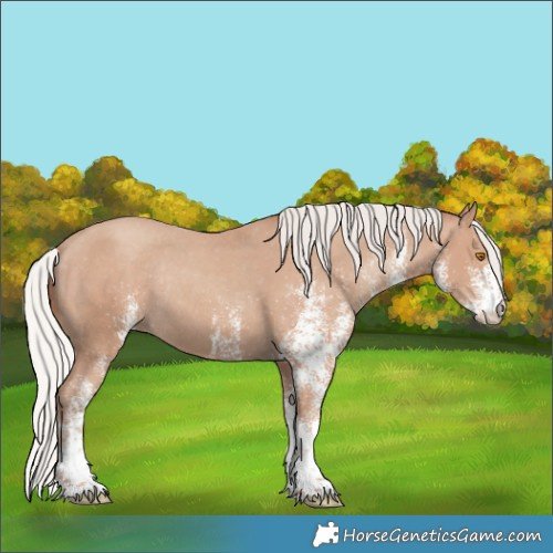Horse Color:White Spotted Silver Classic Champagne Varnish Rabicano 