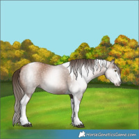 Horse Color:Gray Liver Chestnut Pearl Tobiano 