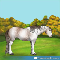 Horse Color:Gray Liver Chestnut Pearl Tobiano 