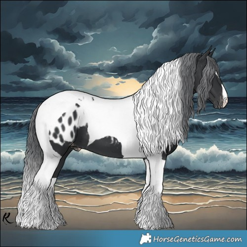 Horse Color:Black Chinchilla Tobiano Appaloosa 