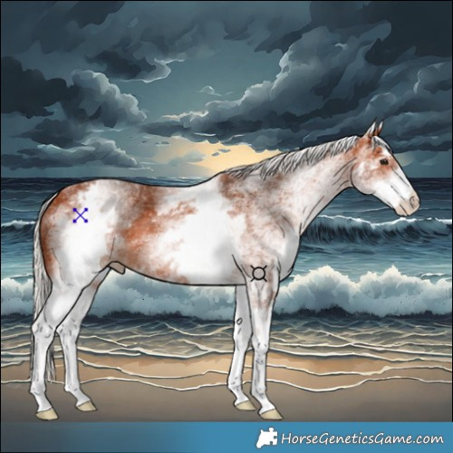 Horse Color:White Spotted Silver Bay 