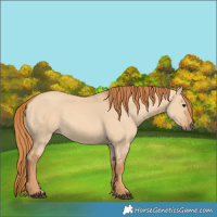 Horse Color:Red Dun