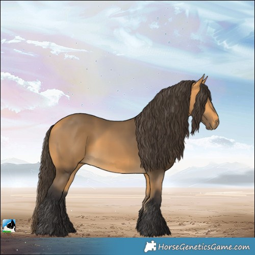 Horse Color:Buckskin 