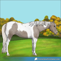 Horse Color:Silver Smoky Black Tobiano Varnish 