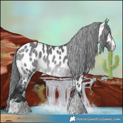 Horse Color:Bay Chinchilla Near Leopard 