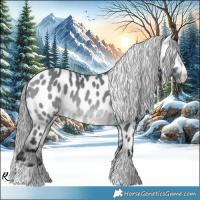 Horse Color:Bay Chinchilla Near Leopard