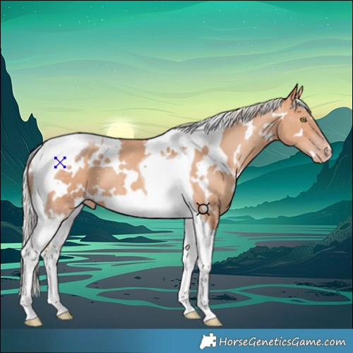 Horse Color:White Spotted Silver Amber Champagne Tobiano