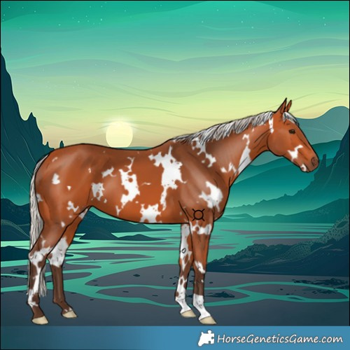 Horse Color:White Spotted Silver Bay 