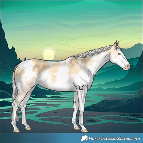 Horse Color:White Spotted Silver Amber Cream Champagne Splash 