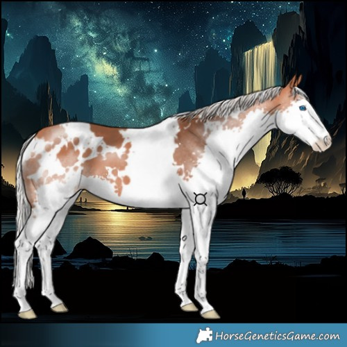 Horse Color:White Spotted Silver Bay Splash