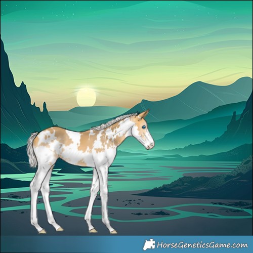 Horse Color:White Spotted Silver Buckskin Splash Varnish 