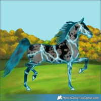 Horse Color:Void Thunderstruck Grullo Sabino Splash Tobiano Rabicano 