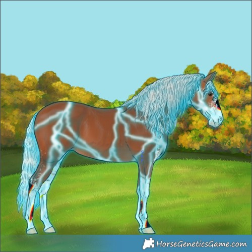Horse Color:Thunderstruck Silver Bay Sabino 
