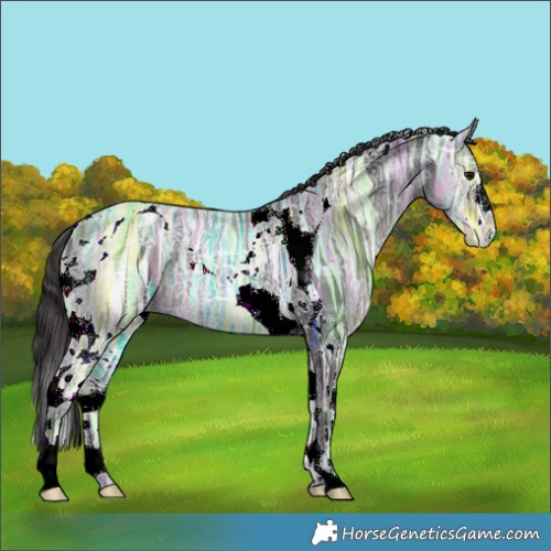 Horse Color:Smoky Black Ice Sabino Tobiano 