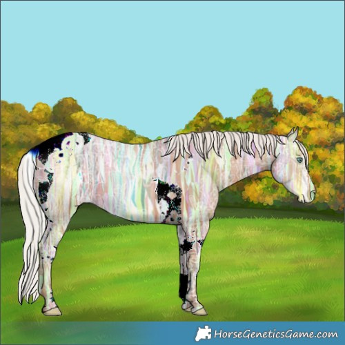 Horse Color:Silver Brown Ice Pearl Tobiano 
